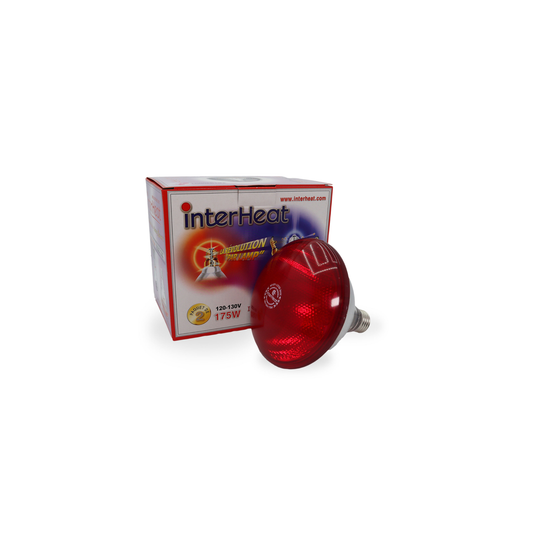 Interheat red heated lamp 175W