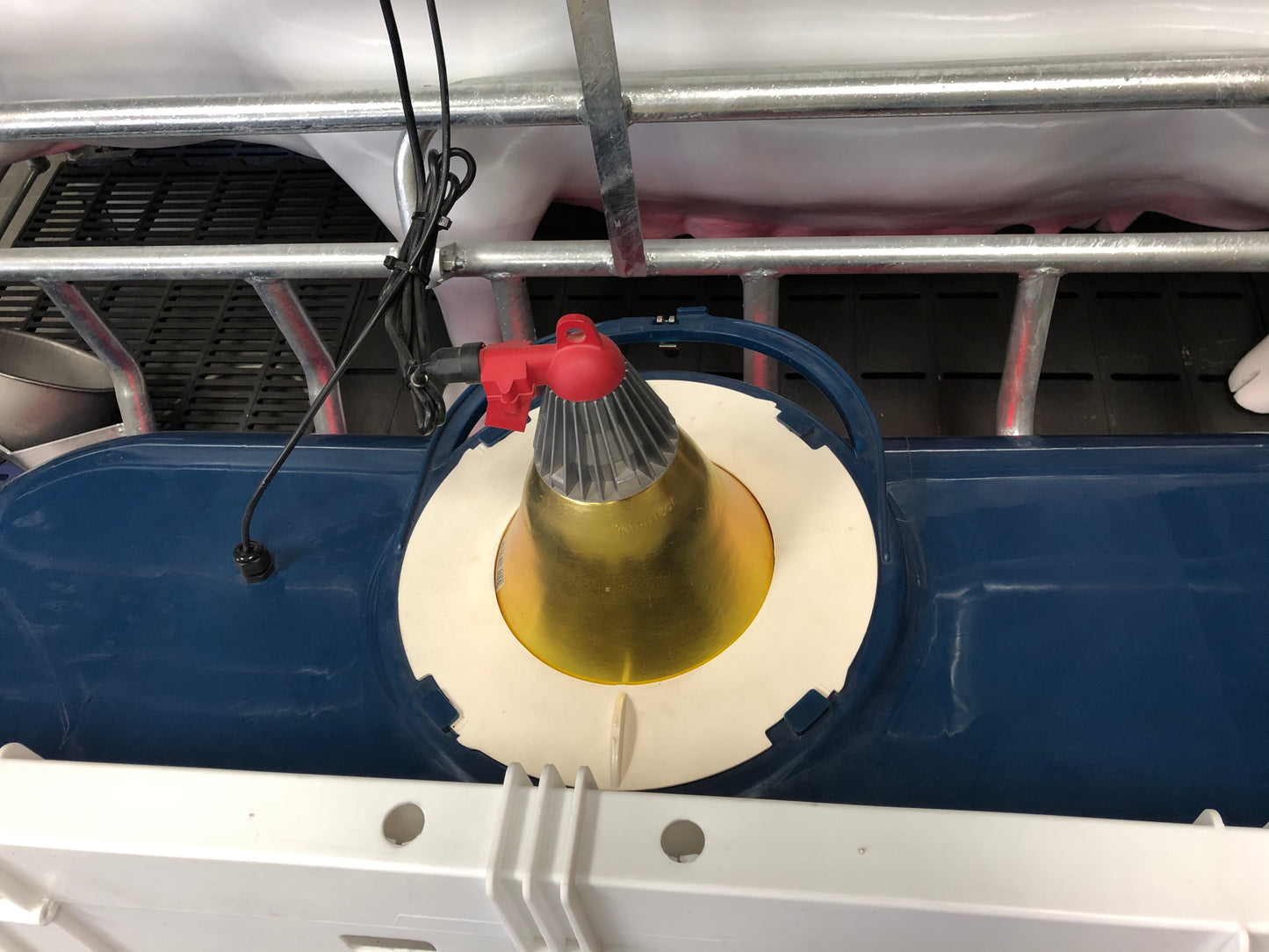 ONE SIDE PIGLET INCUBATOR