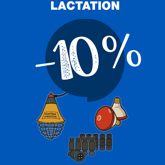 COMBO LACTATION 240V -10%
