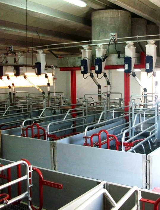 Gestal FM