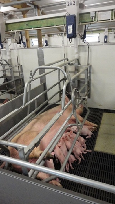 Gestal FM Gestal FM installed on automatic feed delivery system in England