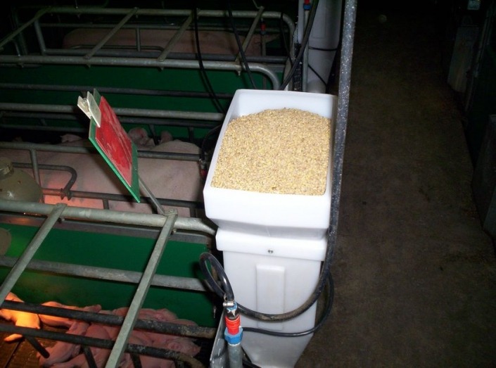 Gestal FM Gestal FM installed directly on the farrowing crate's door.