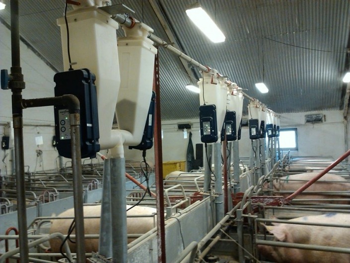 Gestal FM Gestal FM installed on automatic feed delivery system