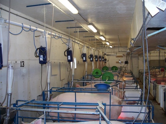 Gestal FM Gestal FM installed on automatic feed delivery system