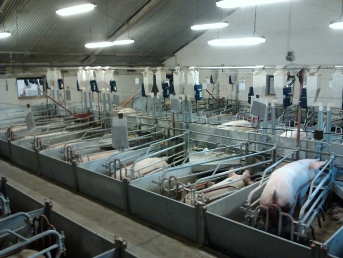 Gestal FM Gestal FM recently installed in a client's farm in Quebec, Canada