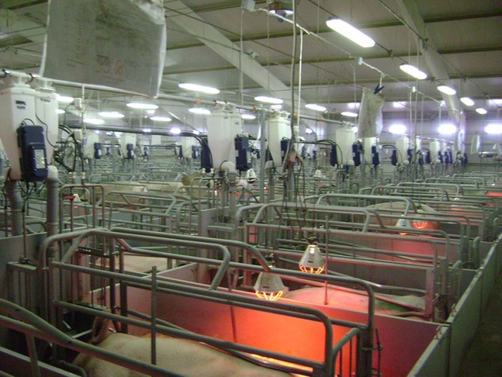 Gestal FM Gestal FM installed on automatic feed delivery system