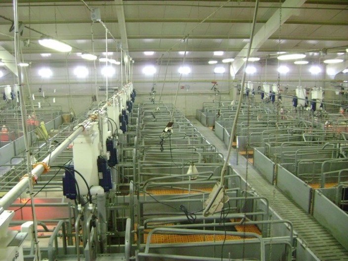 Gestal FM Gestal FM installed on automatic feed delivery system in Russia