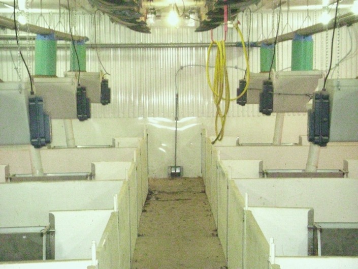 Gestal XM Gestal XM, for post-weaning and finishing barns.
