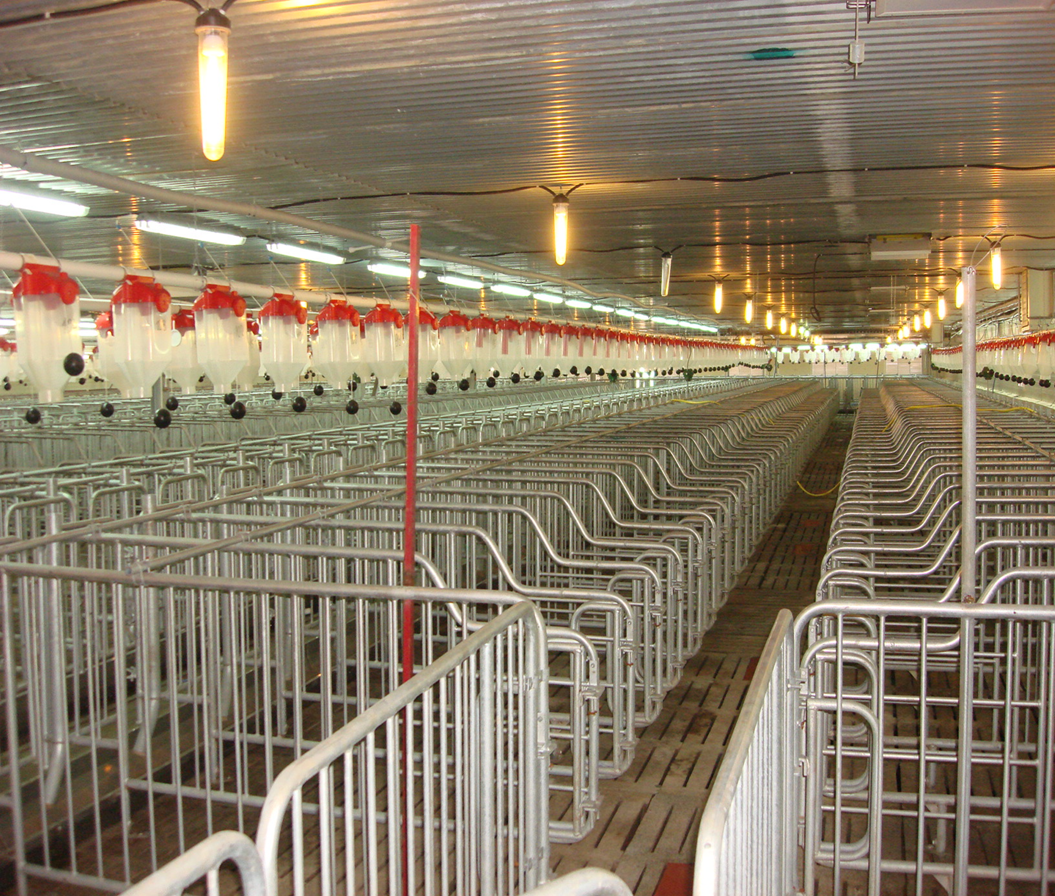 Gestation crates