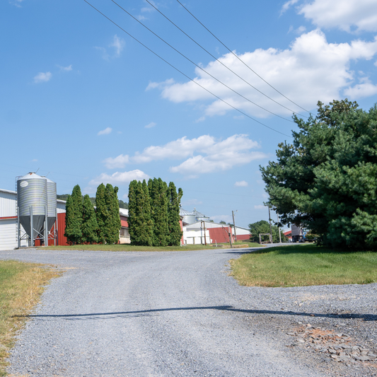 Group Housing : A Guide to Sustainable Pig Farming