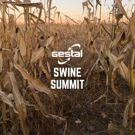 GESTAL Swine Summit 2020 - Online Edition