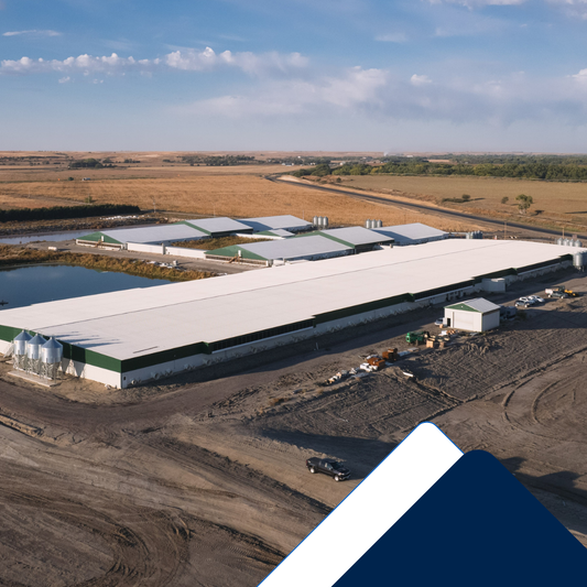 Transitioning to Open Pen Gestation with GESTAL 3G