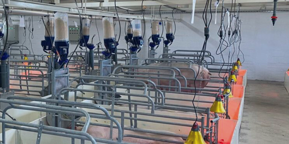 Electrical accessories