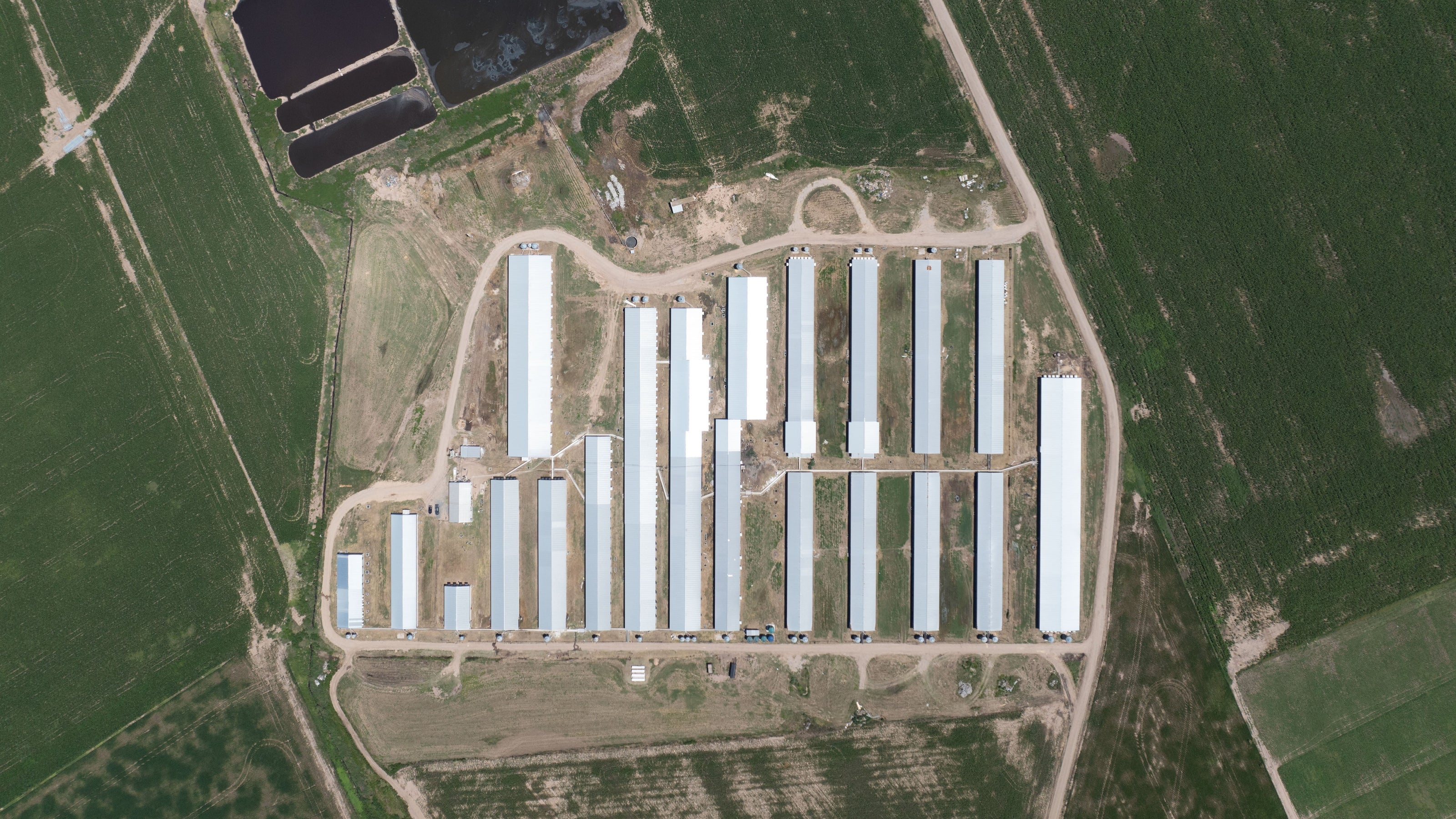 Aerial view of a large sow barn with multiple buildings