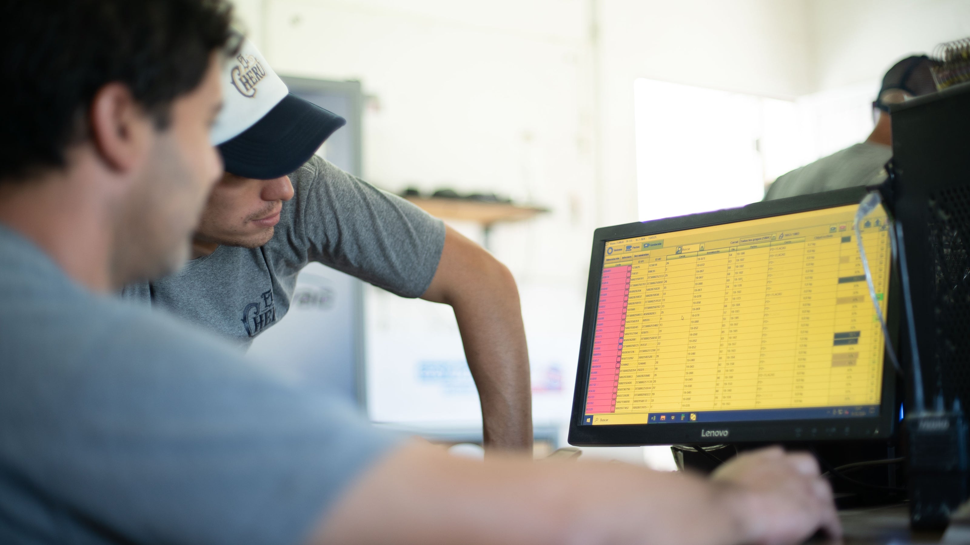Two people working  in an office looking at GESTAL reports.