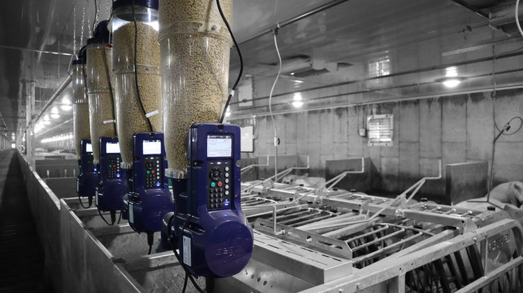 Group-housed pen with GESTAL 3G station