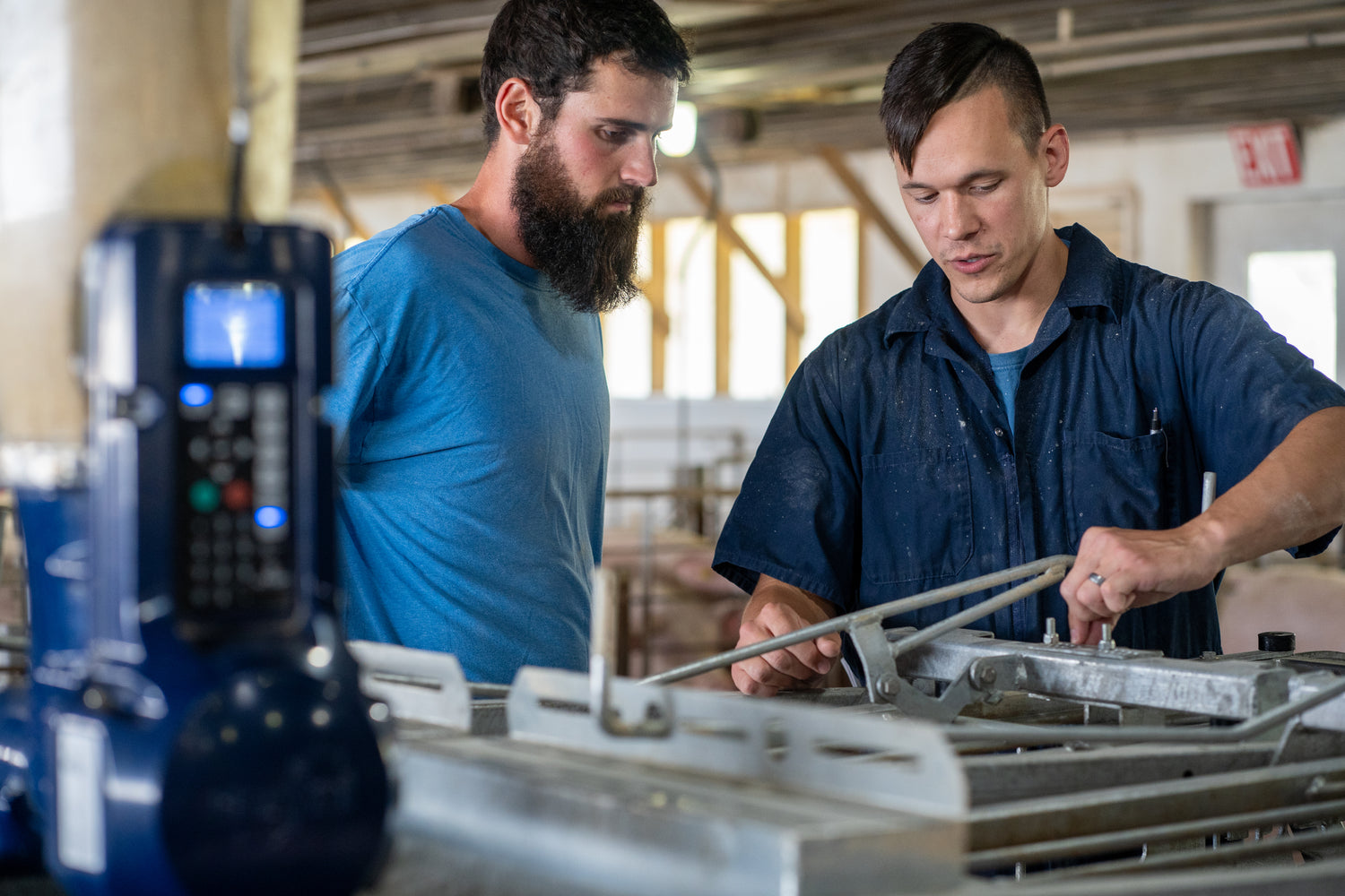 Workers in a pig barn with GESTAL feeder