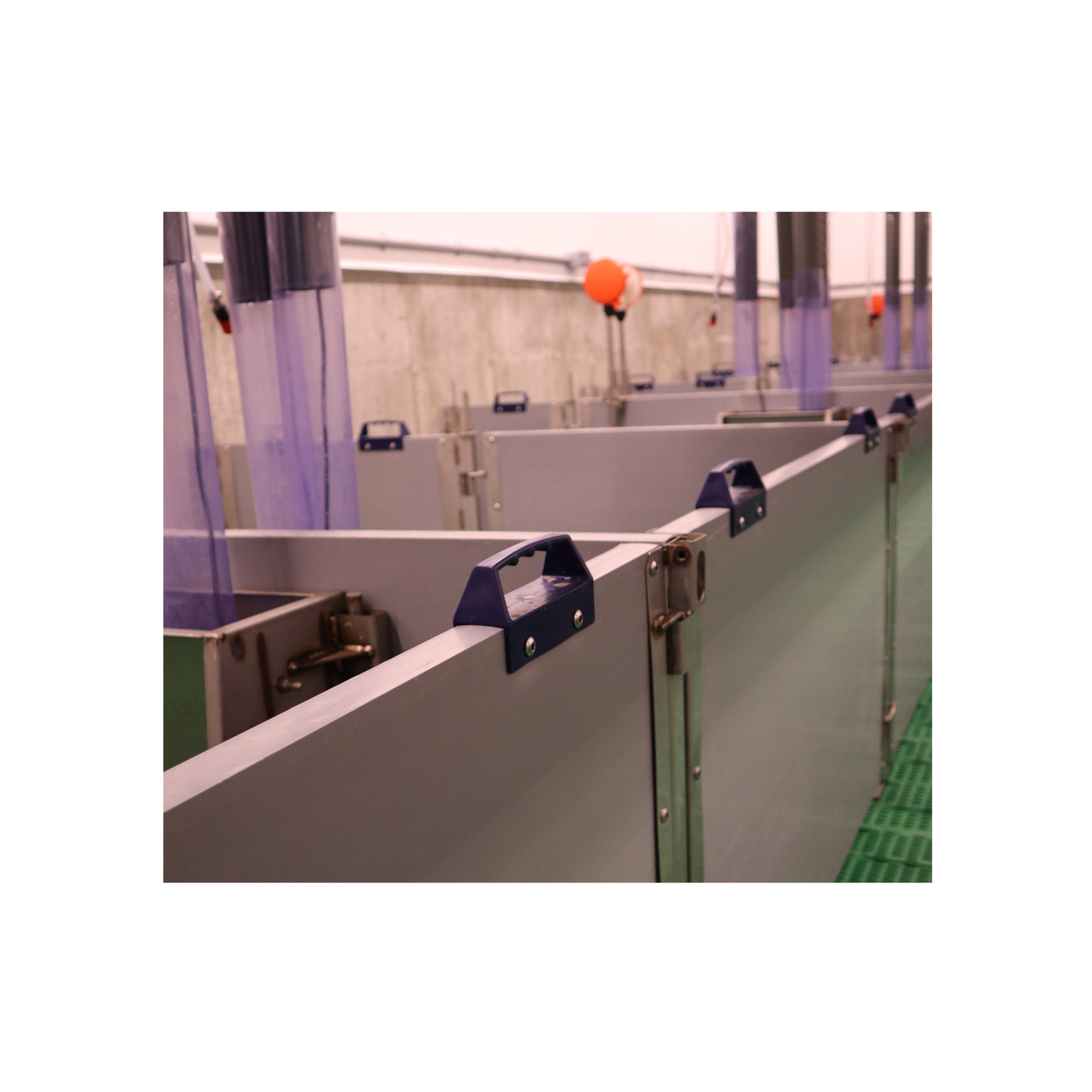 Plastic handle for pork wall panels.