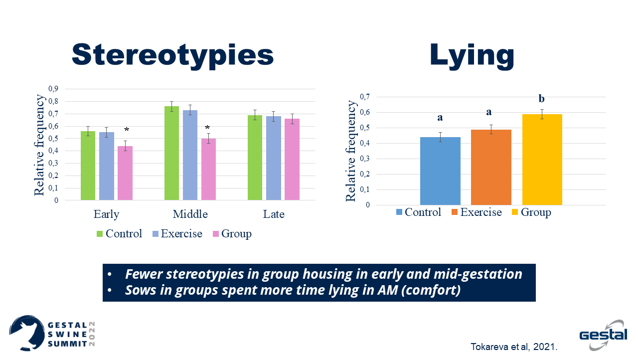 Bar graphs comparing stereotypes and lying behaviors in different groups with Gestal Swine Summit branding.