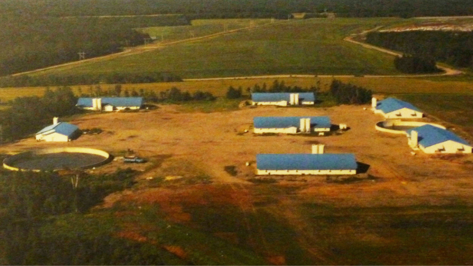 Old picture of Aldo Farm, pig farm
