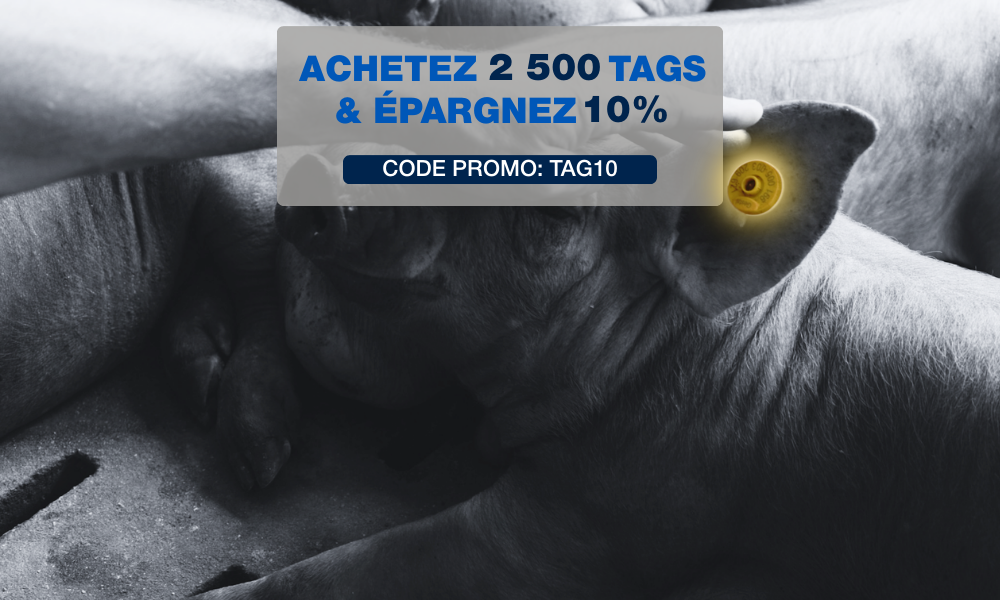 Achetez 2 500 tags