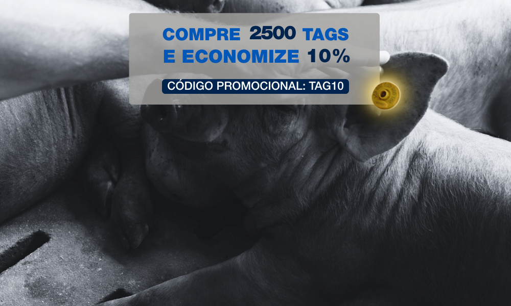 COMPRE 2500 TAGS