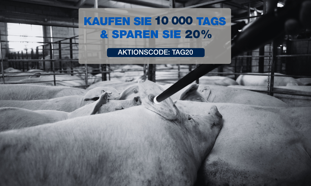 Kaufen Sie 10000 Tags