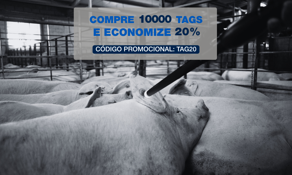 COMPRE 10000 TAGS