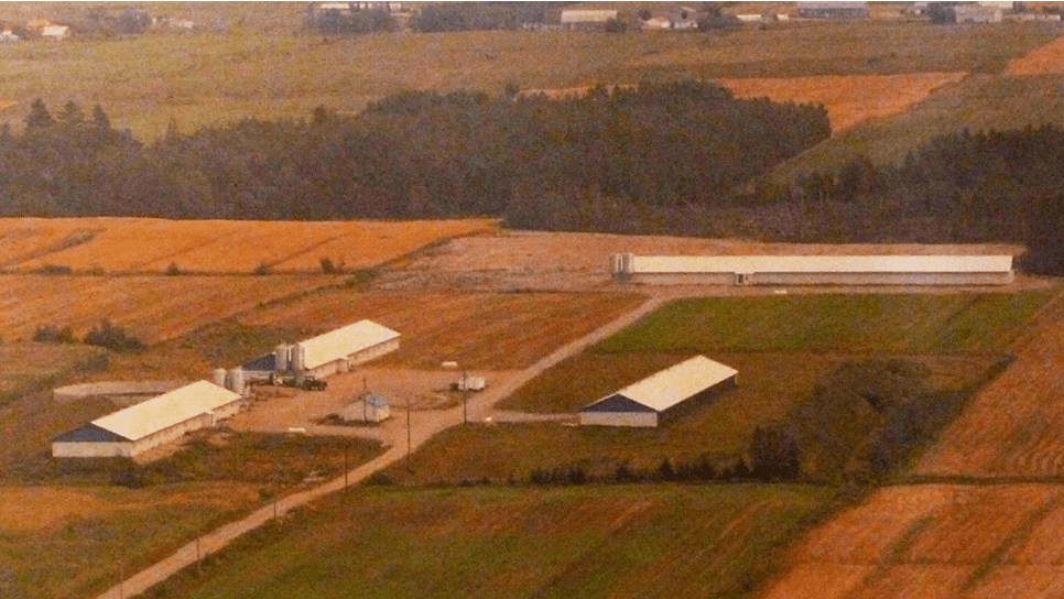 Aerial view of a rural landscape with buildings and pig barn.