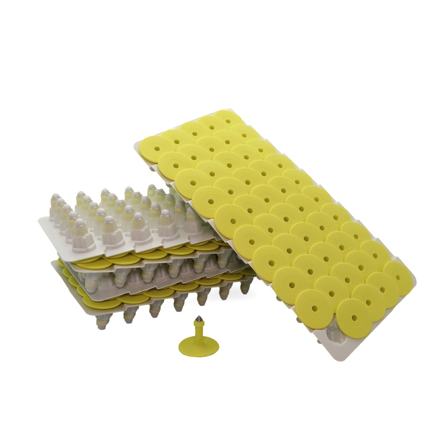 RFID TAG GESTAL (MALE & FEMALE)