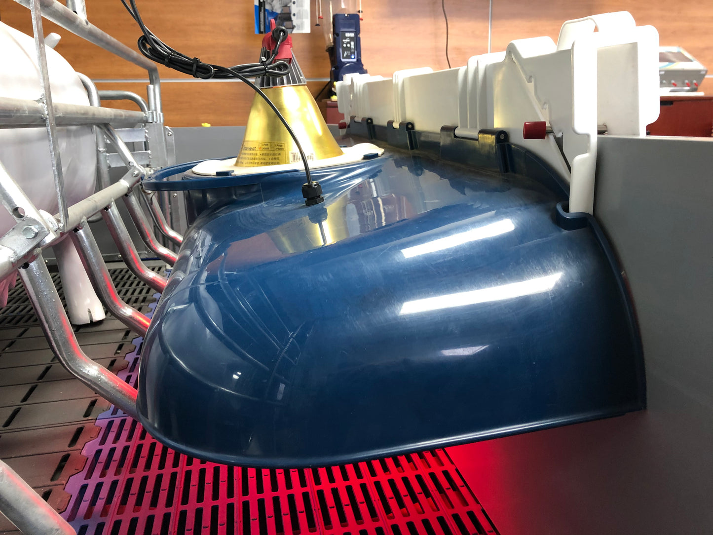 ONE SIDE PIGLET INCUBATOR