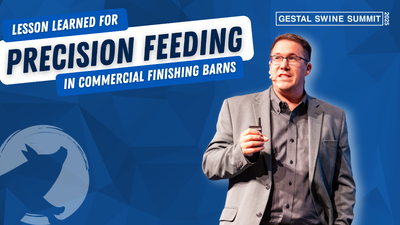 Conference about precision feeding in pig farms during the GESTAL Swine Summit, presented by Devin Goehring.