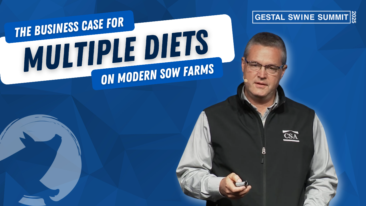 Presentation about multiple diets in sow farms with Doug Cook during the GESTAL Swine Summit.