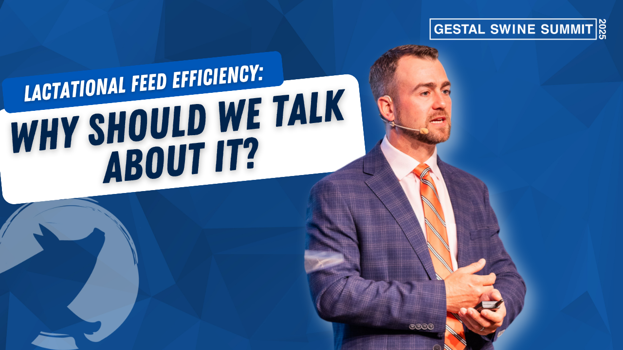 Presentation about Lactational Feed efficiency during the GESTAL Swine Summit presented by Dr. Hyatt Frobose