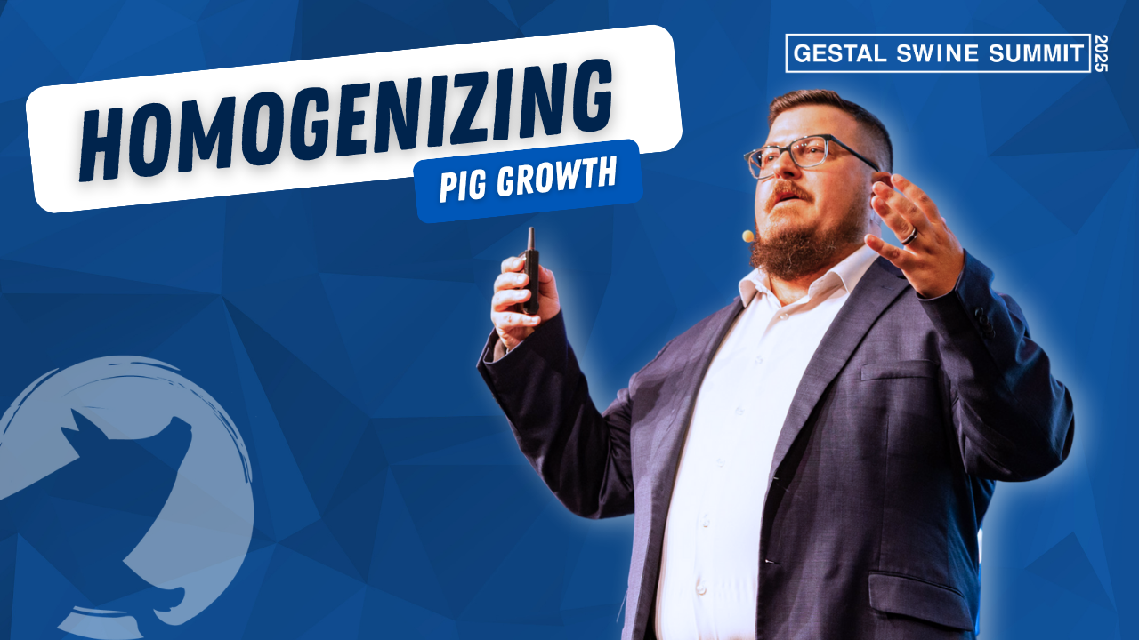 Presentation about Homogenizing pig growth during the GESTAL swine Summit. Speaker is Lance Mulberry.