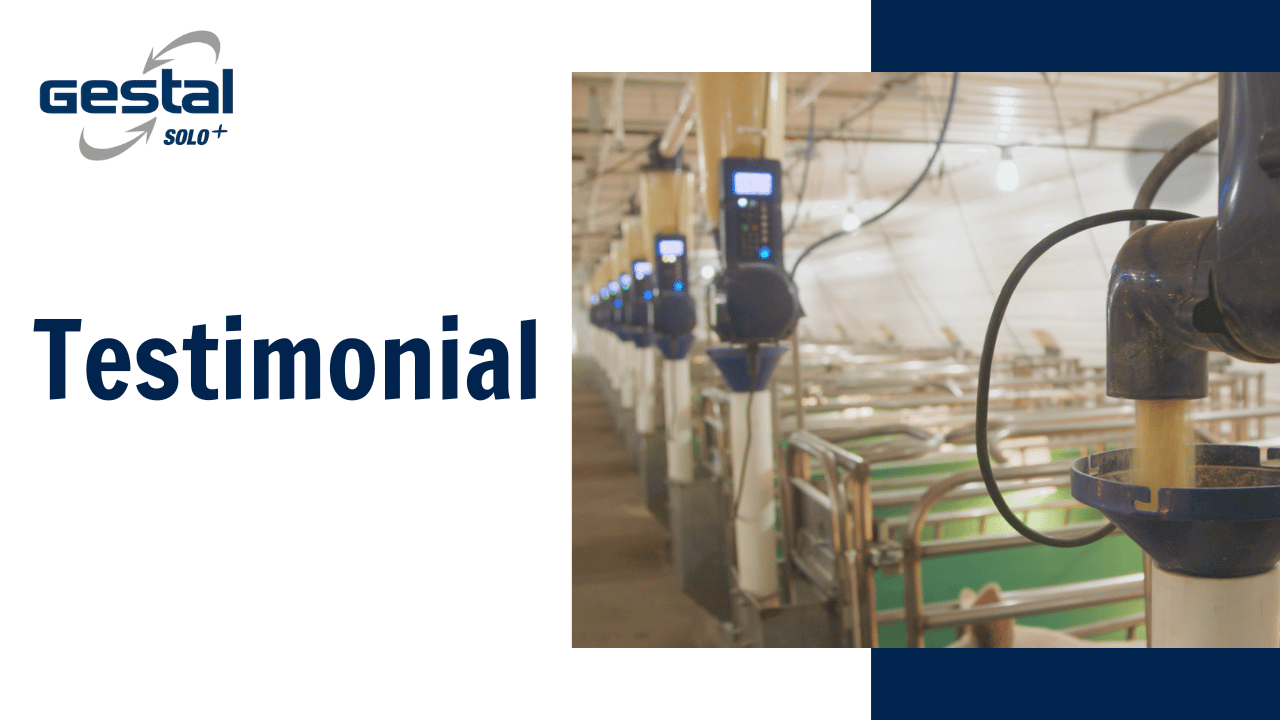 Load video: Testemunho de um cliente GESTAL