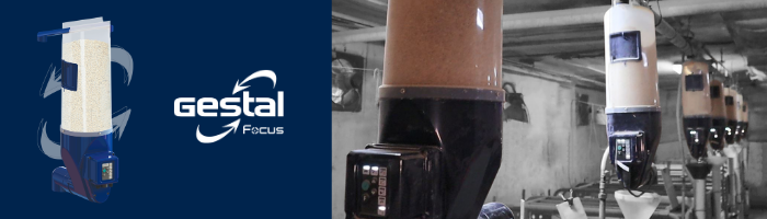 A row of GESTAL Focus in a sow farm