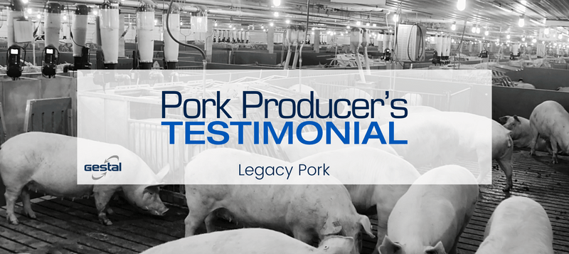 GESTAL client telling about their smart feeding system