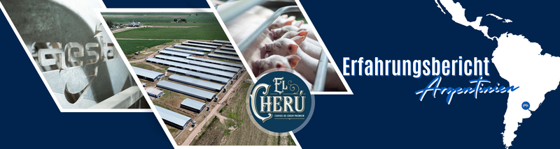 Erfahrungsbericht Argentinien