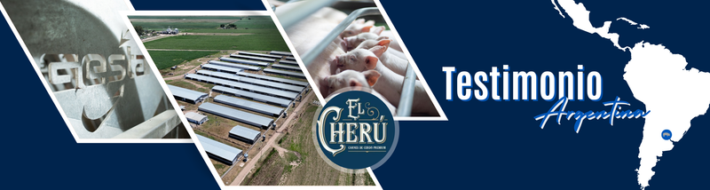 Testimonio Argentina