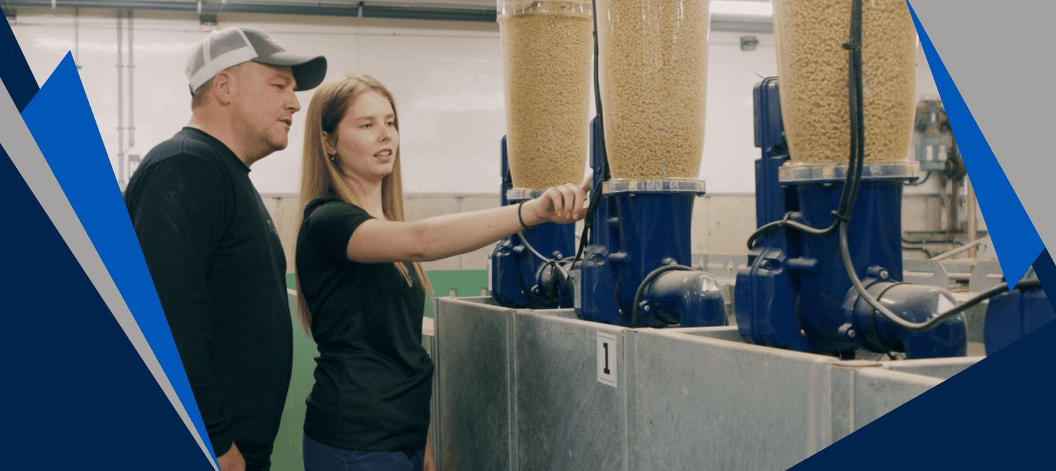 Workers looking at a smart feeding system in an open pen gestation