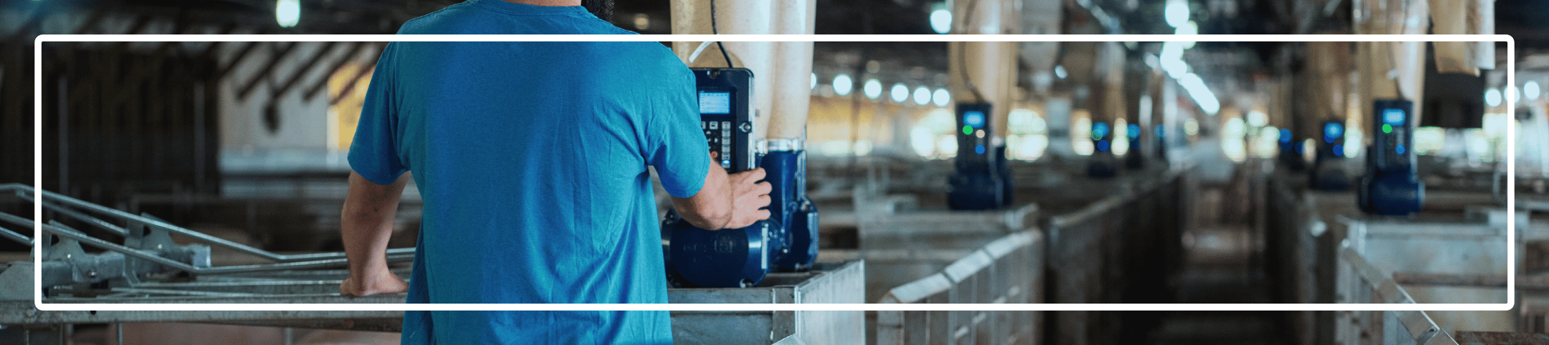 Group gestation with GESTAL 3G