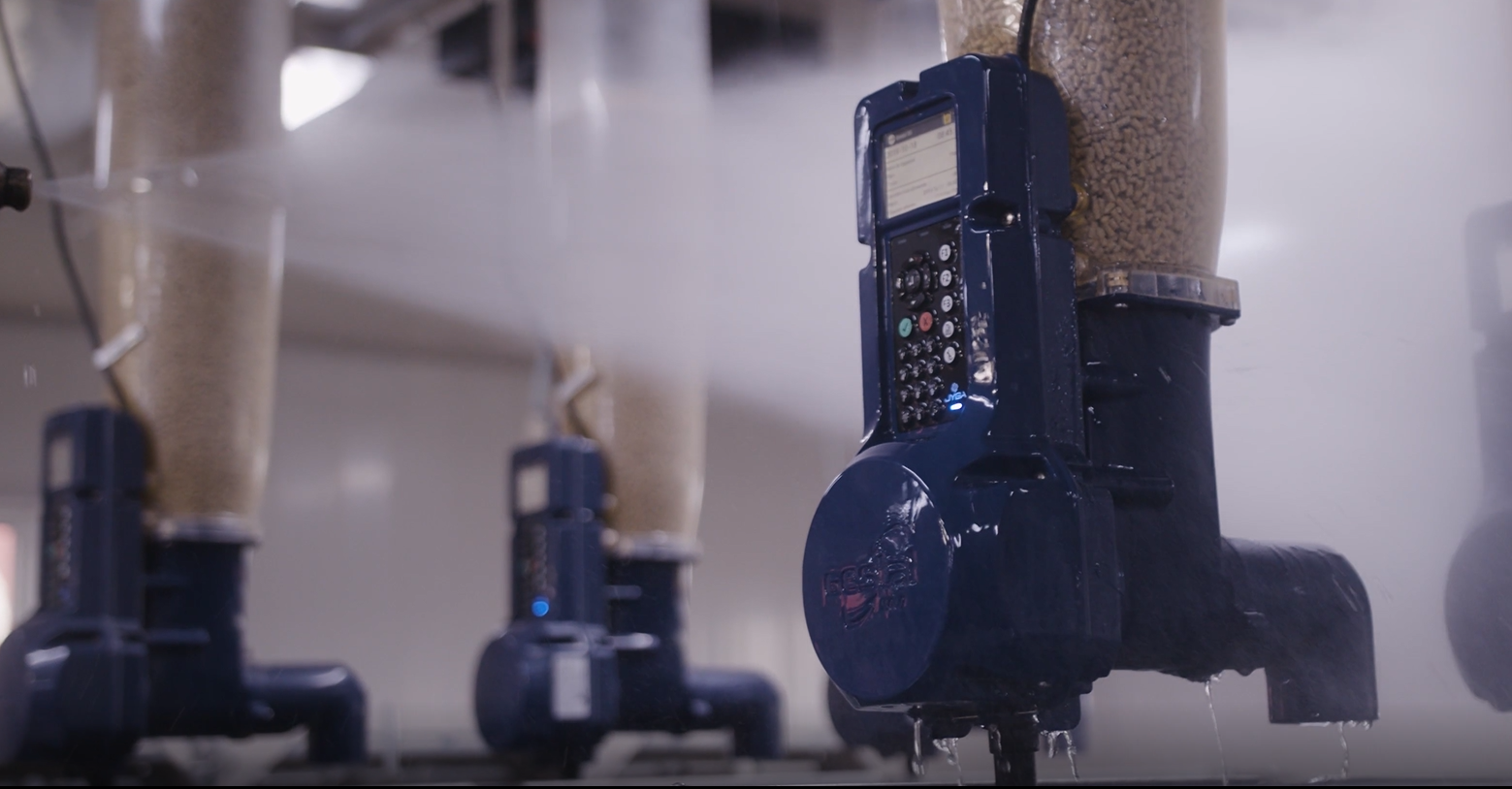 GESTAL being pressure washed