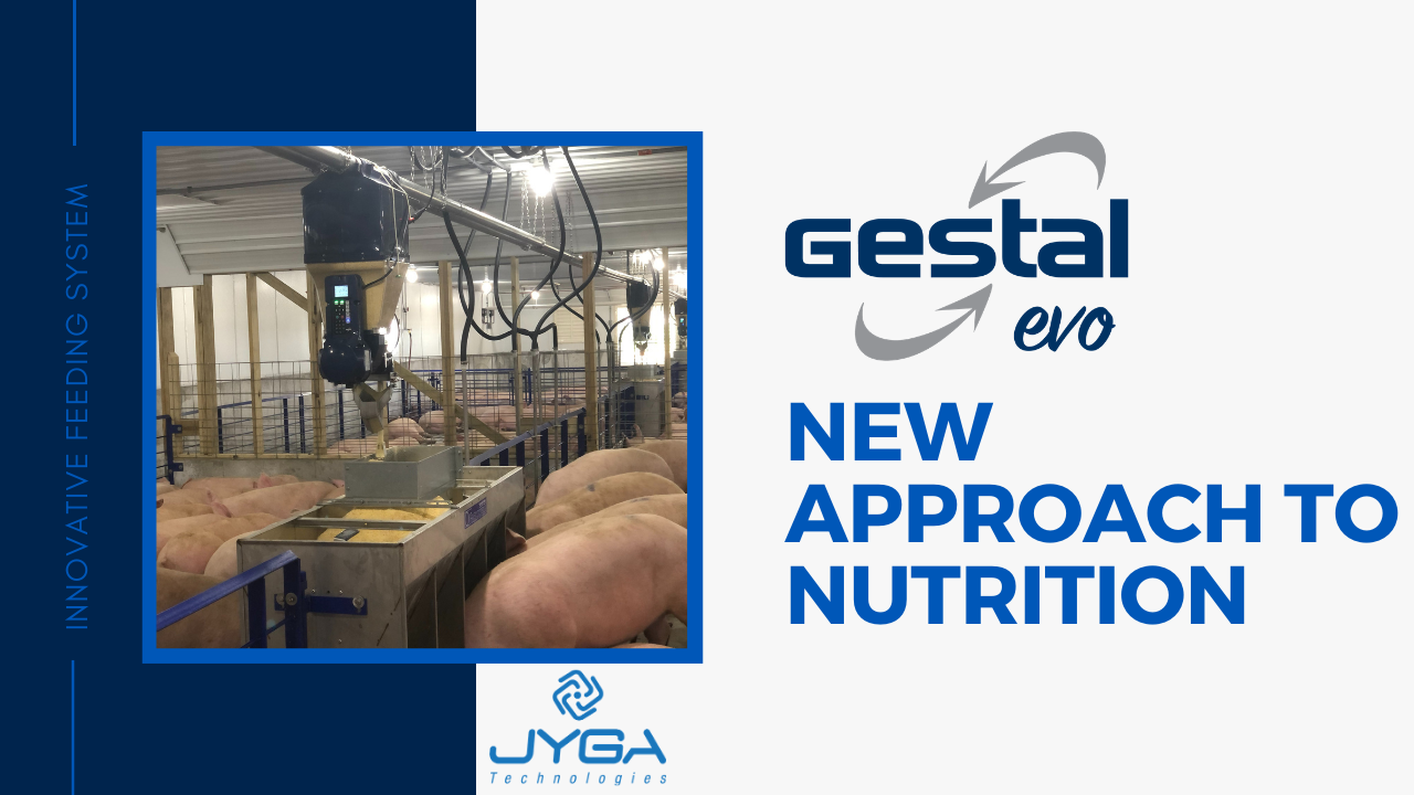 Charger la vidéo : Témoignage GESTAL Quattro