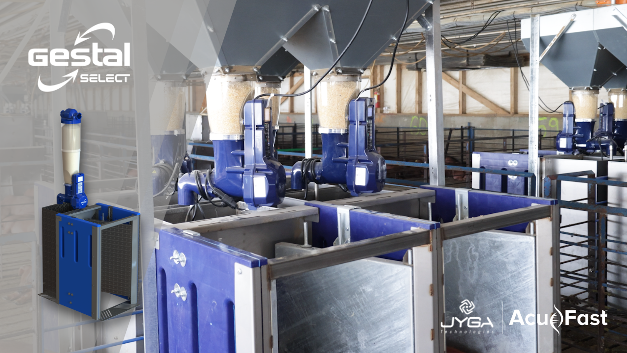 Load video: Testemunho do GESTAL