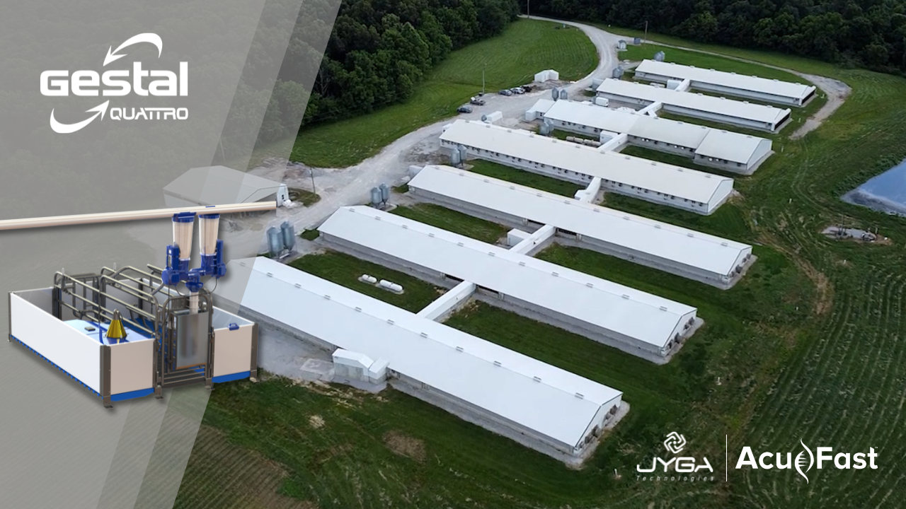 Load video: Testemunho do GESTAL