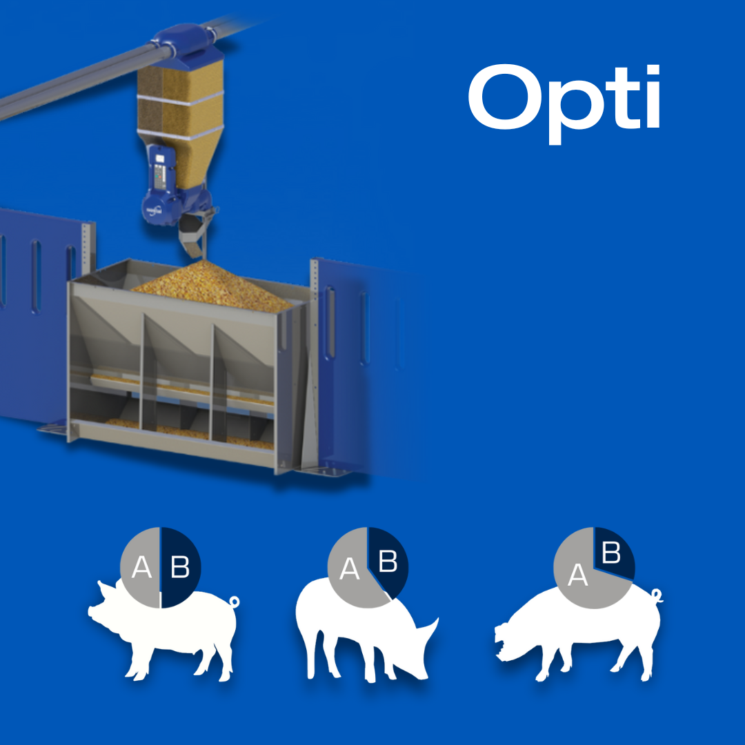 Pig feed distribution system with 'Opti' branding on a blue background with a GESTAL station