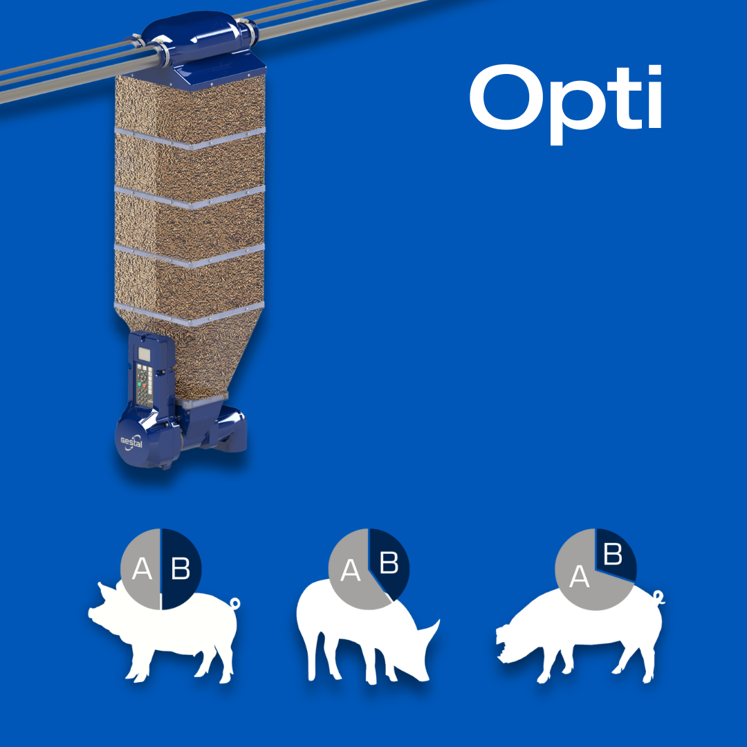 GESTAL 3G Opti with drawing of 3 pigs to illustrate blend feeding