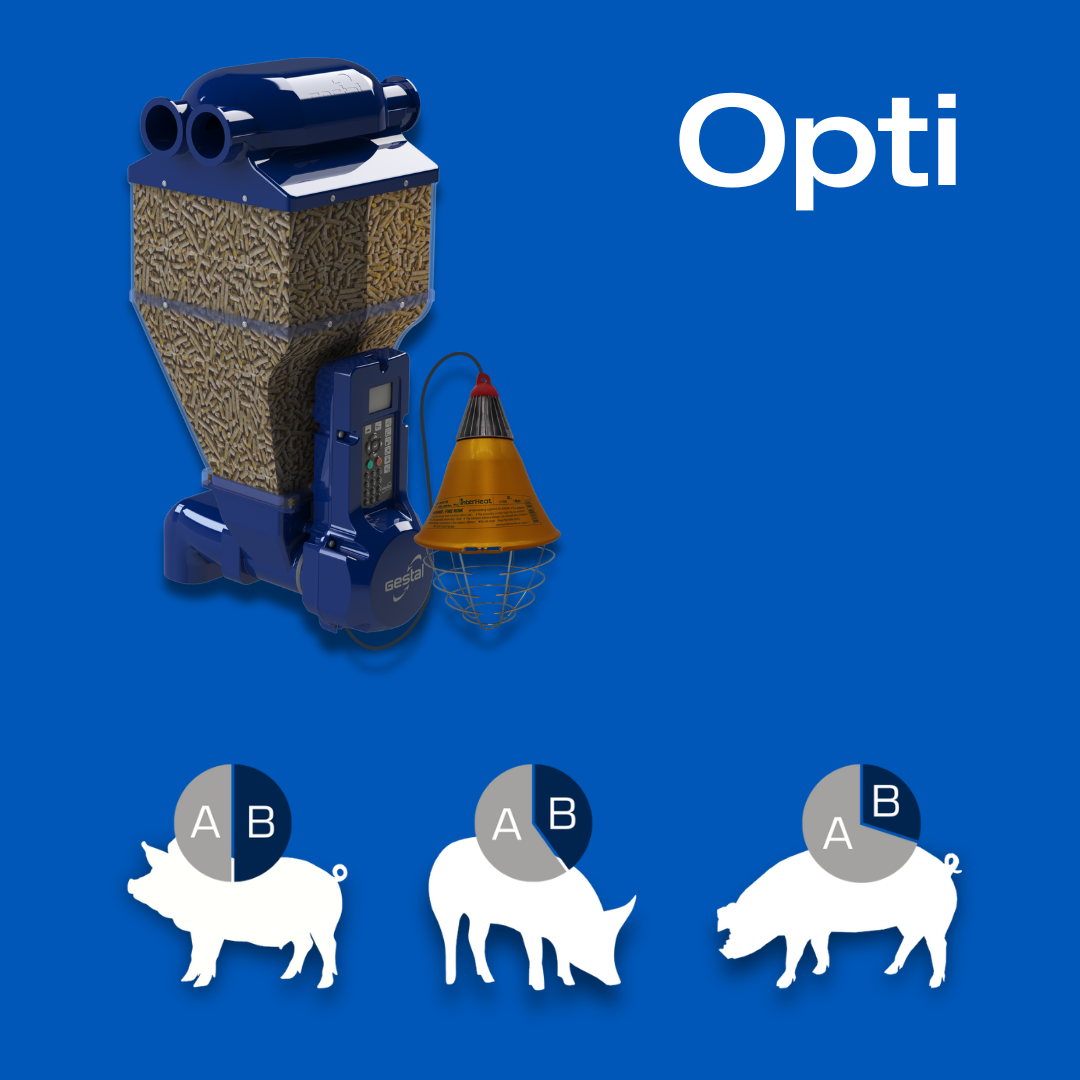 GESTAL Quattro opti with 3 pigs drawing