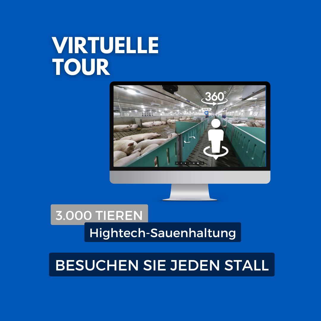 Besuchen Sie einen Sauenbetrieb